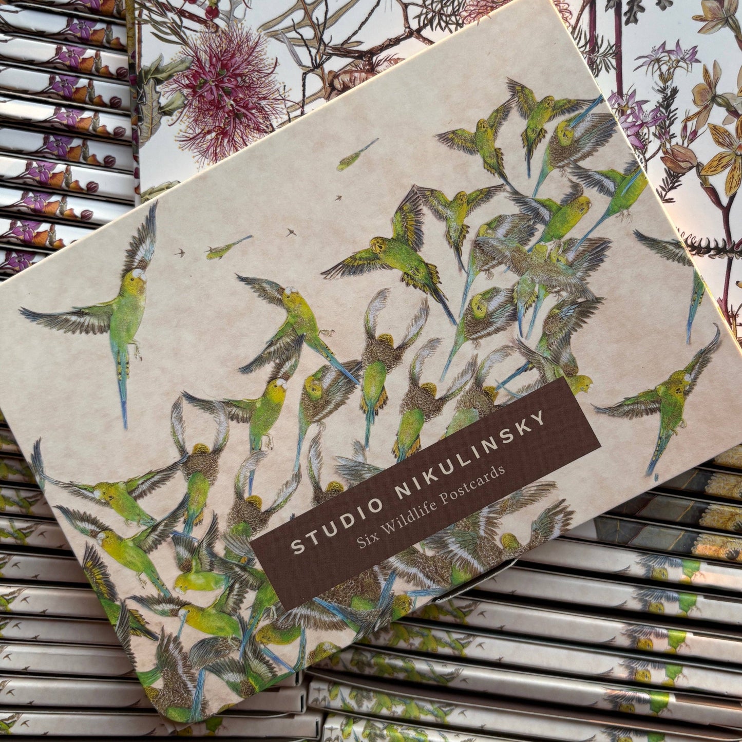 Postcards - Boxed: Wildlife