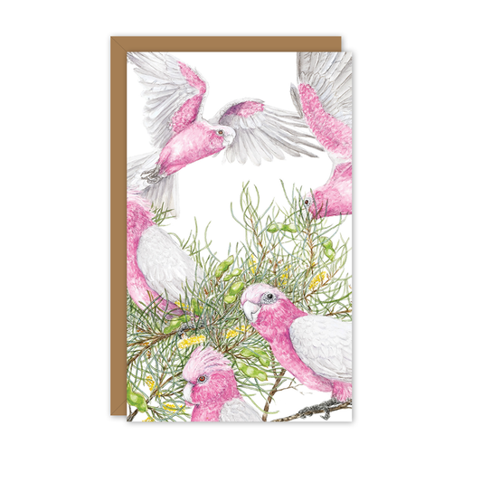 Small Card: Galahs