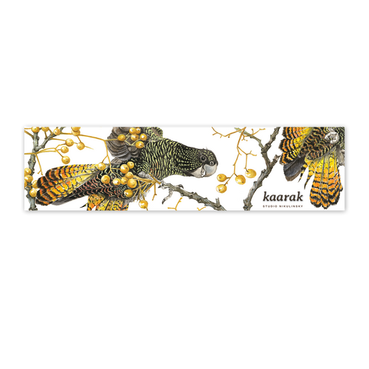Bumper Sticker: Red tailed black cockatoo, kaarak