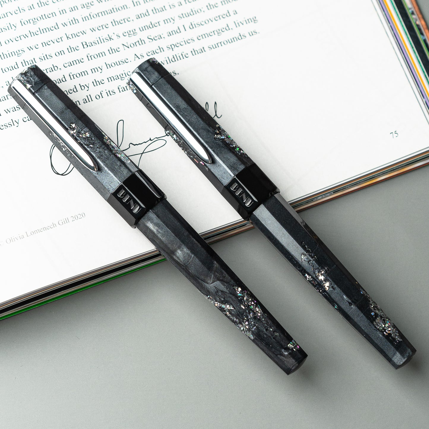 BENU Euphoria Fountain pen - Caviar