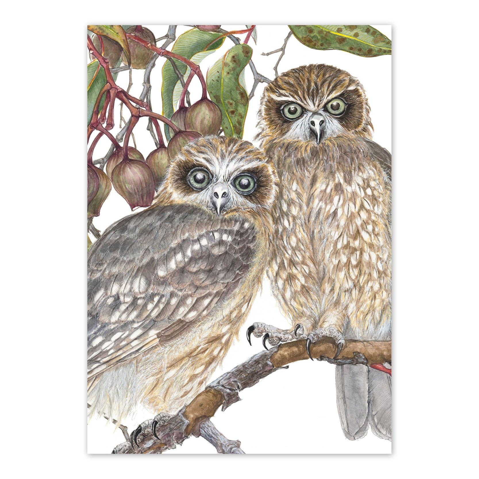 Boobook Owls A6 Card - Studio Nikulinsky | The Ellipses Collection