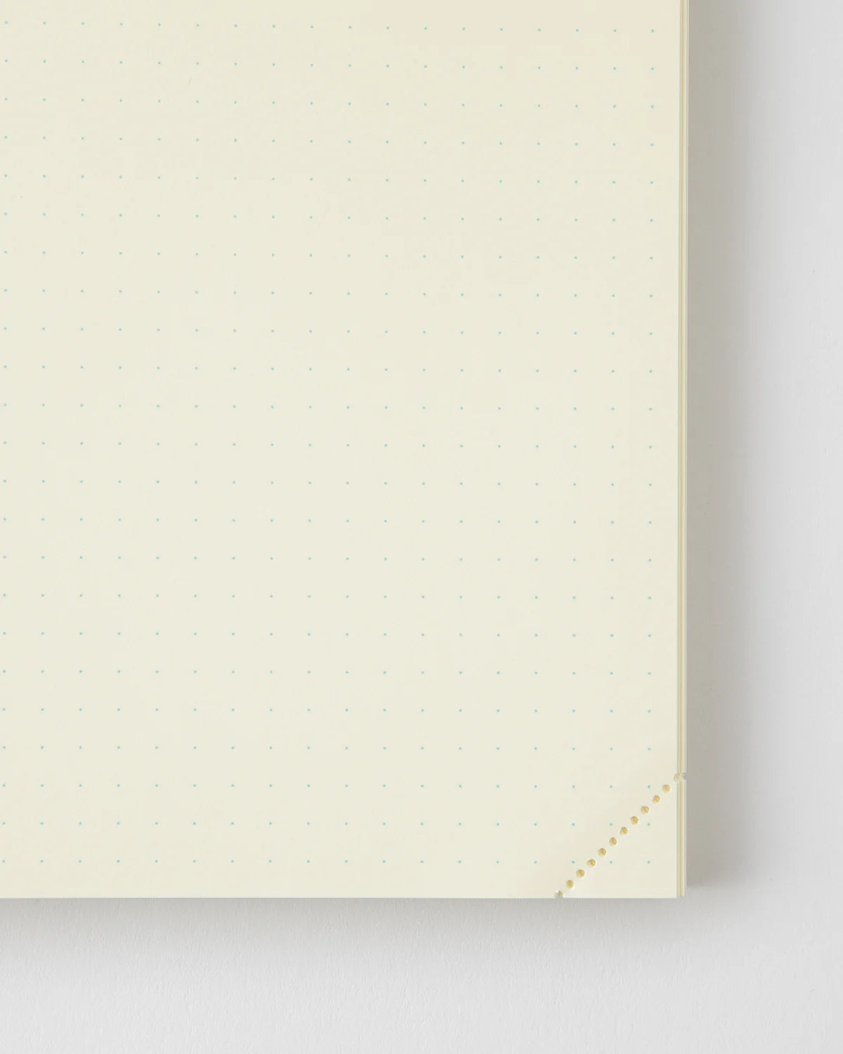 Notebook: MD Product - A5 - Codex 1 Day 1 Page - Dot Grid