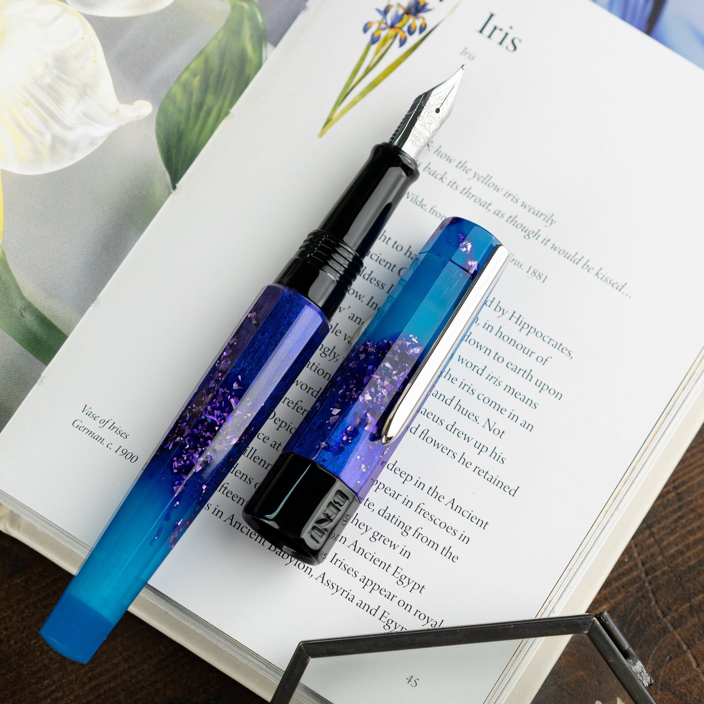 BENU Euphoria Fountain pen - Scent of Irises