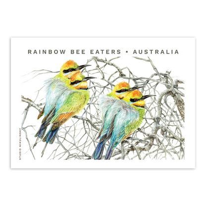 Postcard: Rainbow Bee Eaters