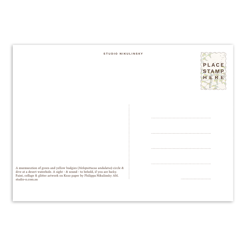 Postcard: Budgies - Australia