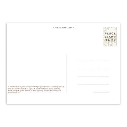 Postcard: Budgies - Australia