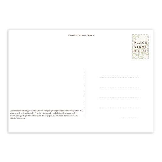 Postcard: Budgies - Australia