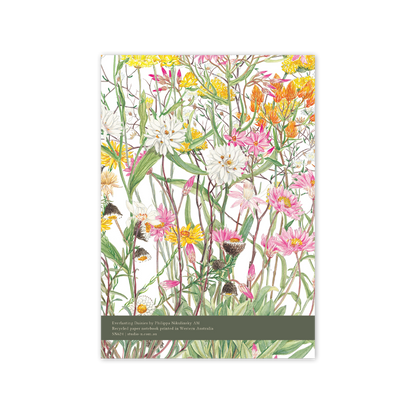 A5 Notebook: Everlasting Daisies