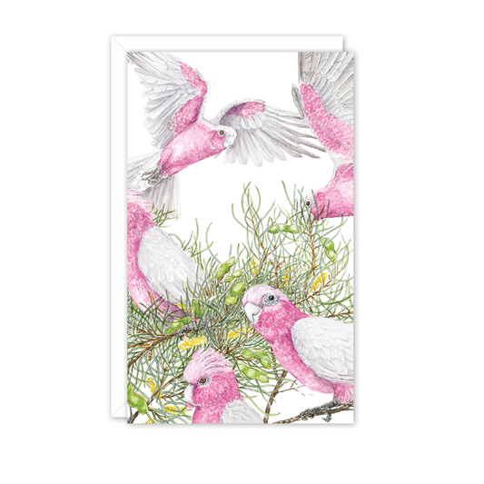Small Card: Galahs