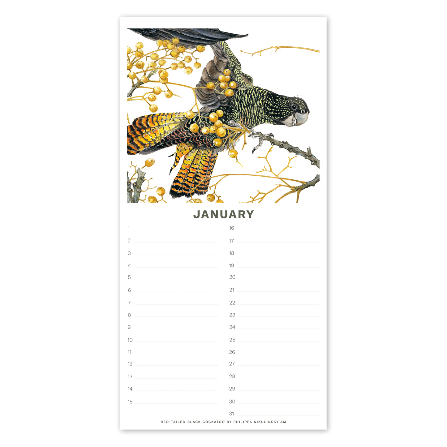 Perpetual Calendar - Australian Birds